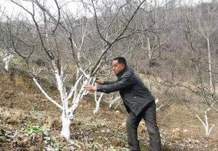 貴州納雍：花椒管護(hù)正當(dāng)時(shí) 奠定豐收好基礎(chǔ) ()