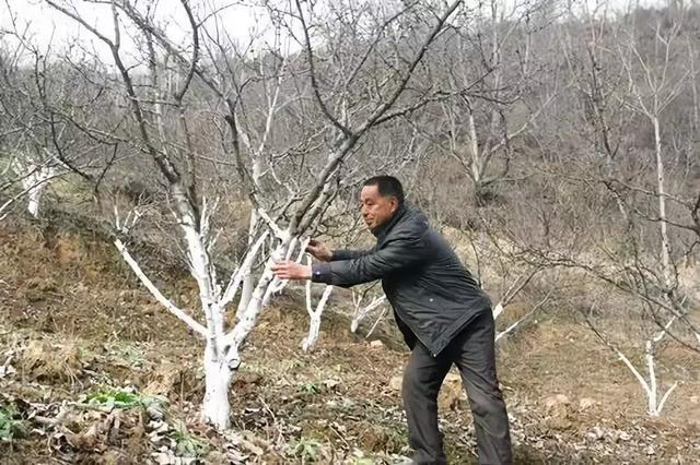圖片3