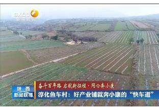陜西淳化：小花椒助推鄉(xiāng)村邁上致富“快車道” ()