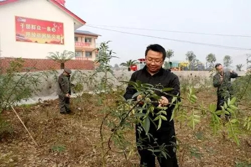 圖片5