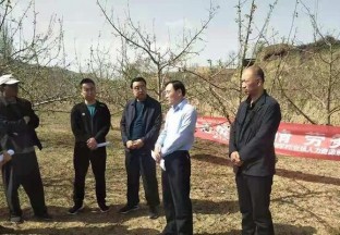 天水甘谷：多舉措進行受災村就業(yè)幫扶工作 ()