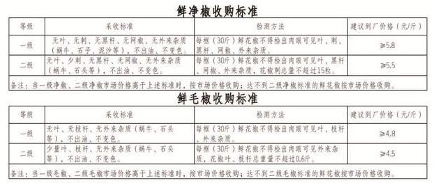 圖片2