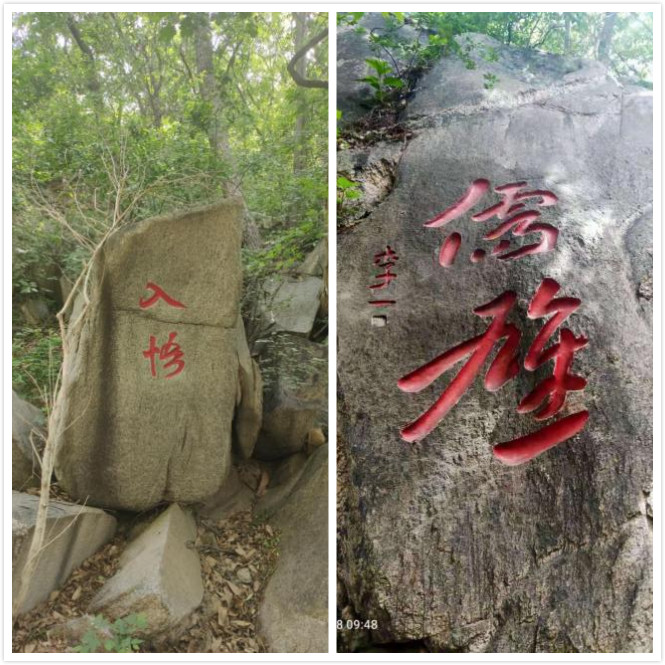 6張拼圖