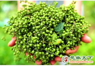 重慶陶家鎮(zhèn)：黨支部助農(nóng)打開花椒銷路 ()