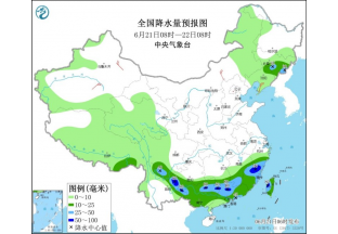 江津降雨頻繁  青花椒采摘受阻 ()