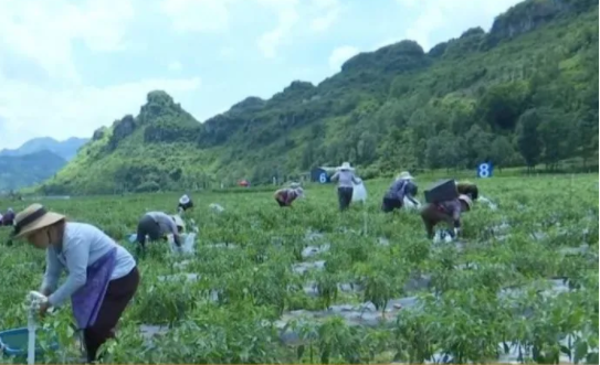 圖片2