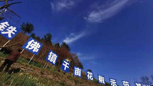 圖片2