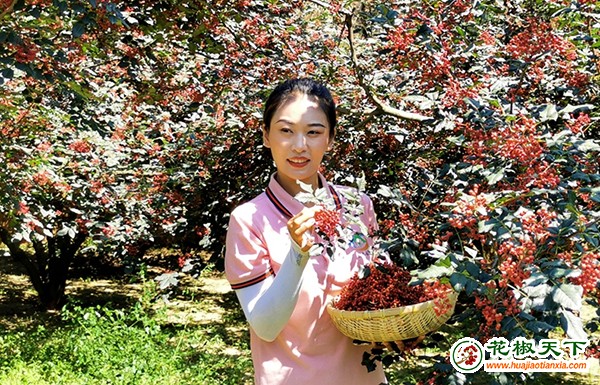 圖片1