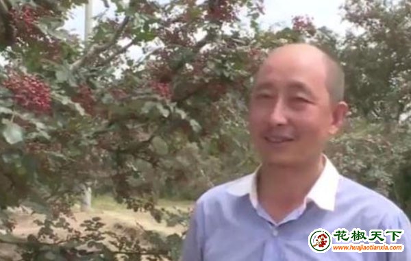 圖片2