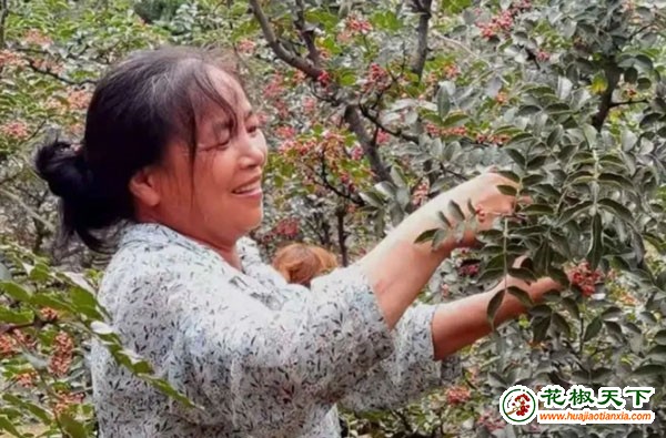 圖片12