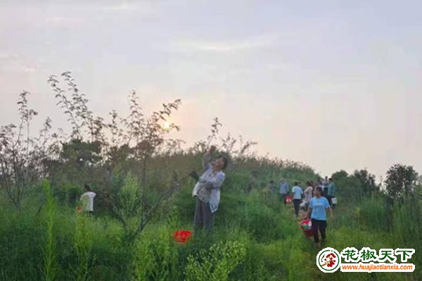圖片12