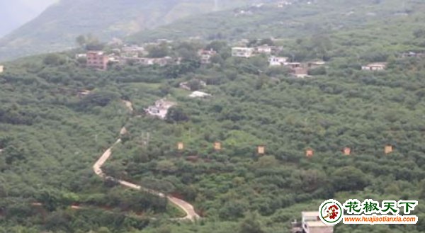 圖片12