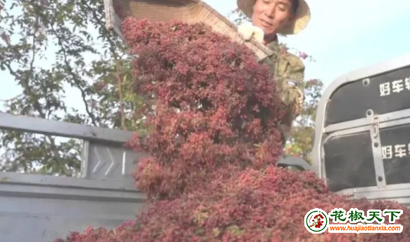 圖片1