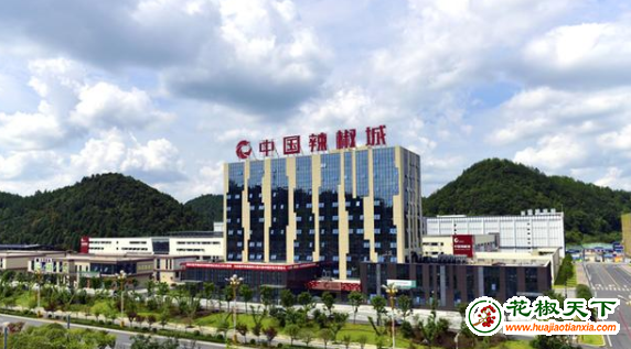 圖片4