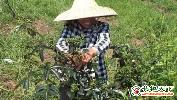 圖片2