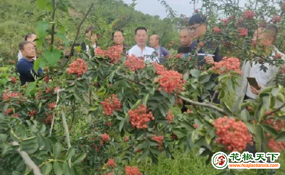 圖片1
