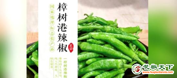 圖片1