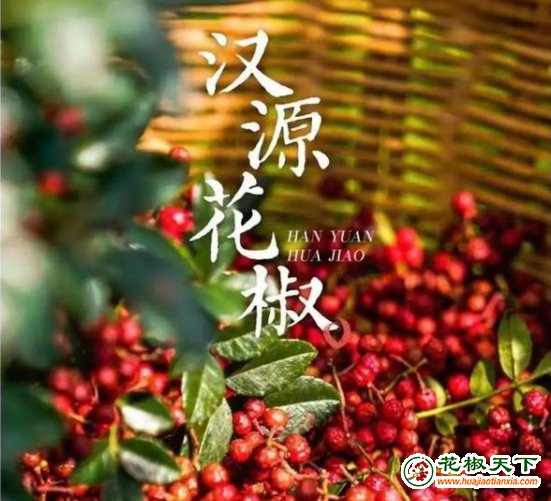 圖片3