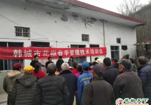 韓城：花椒種植技術送下鄉(xiāng) ()