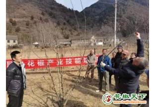 四川自貢：一顆小花椒 成就致富產(chǎn)業(yè) ()