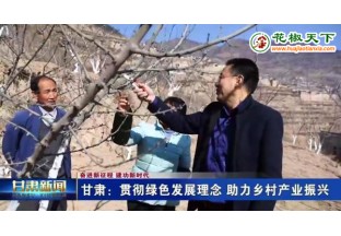甘肅：花椒產(chǎn)業(yè)不斷壯大 助力鄉(xiāng)村產(chǎn)業(yè)振興 ()