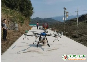 貴州思南縣：無(wú)人機(jī)推動(dòng)花椒種植科技化 ()