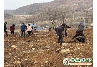 河南寶豐：花椒種植 助力鄉(xiāng)村振興 ()