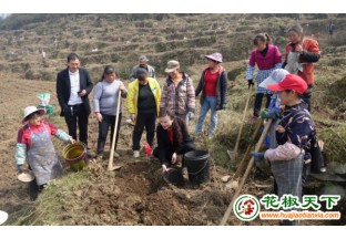 貴州息烽：田間課堂為花椒產(chǎn)業(yè)充電蓄能 ()
