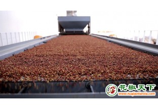 甘肅天水小花椒成就民生大產(chǎn)業(yè) ()