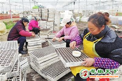 圖片3