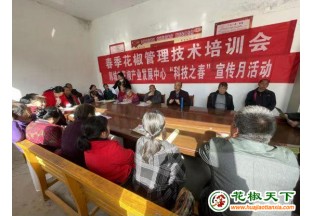 陜西韓城：送科技促發(fā)展 花椒培訓(xùn)解民需 ()