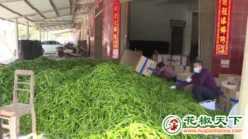 圖片3