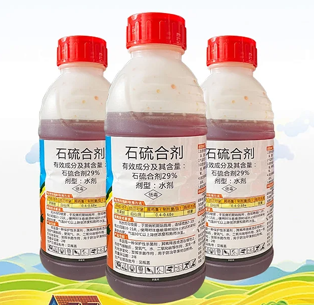 圖片3