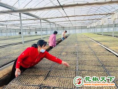 內(nèi)蒙古達(dá)拉特