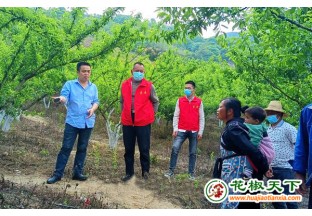 貴州貞豐：開(kāi)展花椒高產(chǎn)培訓(xùn) ()
