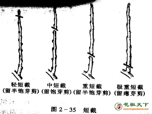 圖片2