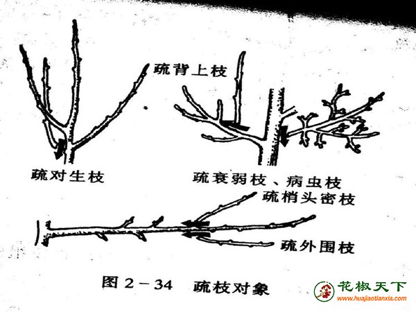 圖片1