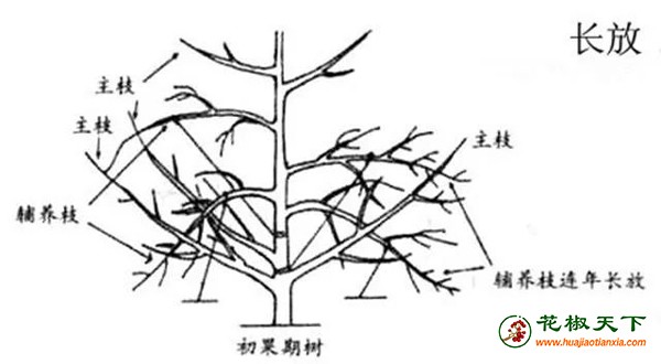 圖片4