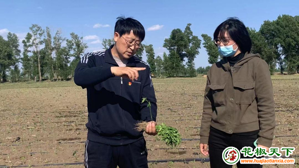圖片3
